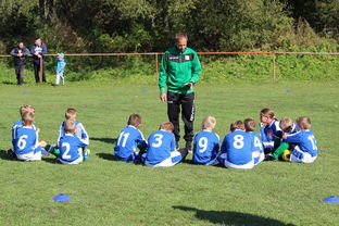 乐鱼（中国）体育官方网站-五大联赛外援数量变化影响战术布置，五大联赛外援数量变化影响战术布置吗