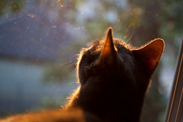 乐鱼体育-冠军梦在心头，郑姝音说求胜欲永远在线！，郑姝音比赛时间