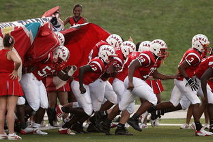 下载乐鱼体育APP-博卡中场节奏把控能力将决定未来发展，博卡vs